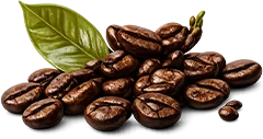Coffee Bean