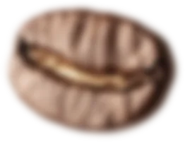 blurred bean