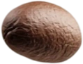 whole bean